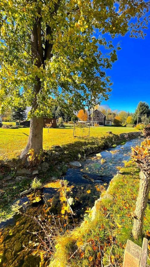 Wildbachidylle Villa Lichtenberg/Erzgebirge Dış mekan fotoğraf