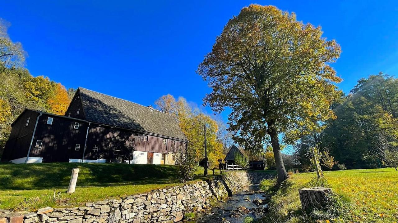 Wildbachidylle Villa Lichtenberg/Erzgebirge Dış mekan fotoğraf