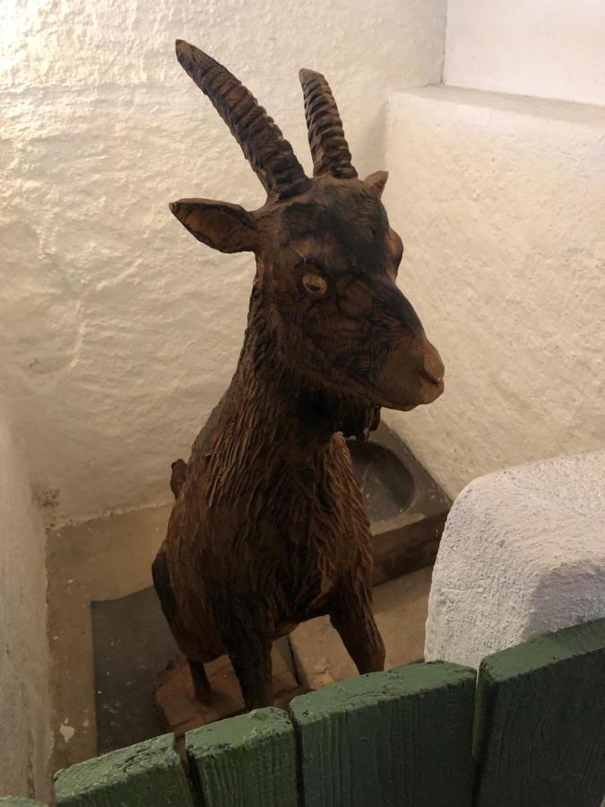 Wildbachidylle Villa Lichtenberg/Erzgebirge Dış mekan fotoğraf