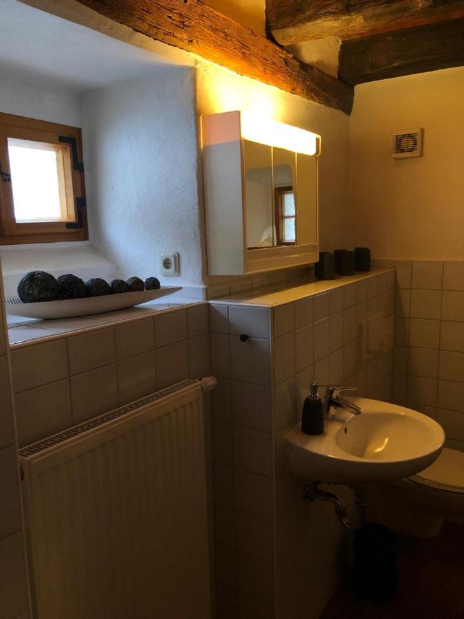 Wildbachidylle Villa Lichtenberg/Erzgebirge Dış mekan fotoğraf